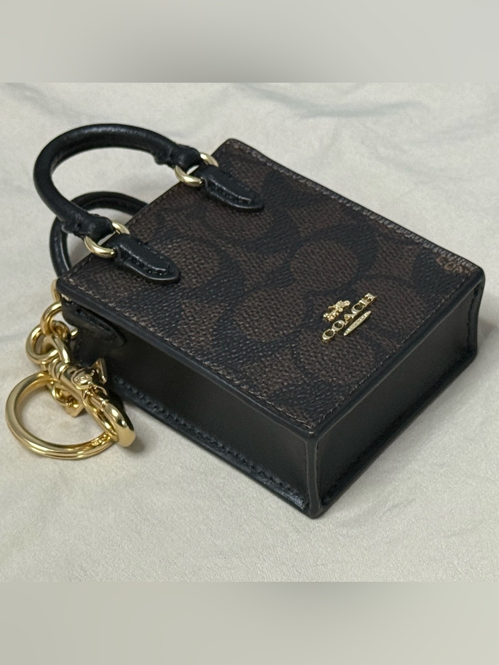 North/South Mini Tote Bag Charm In Signature Canvas